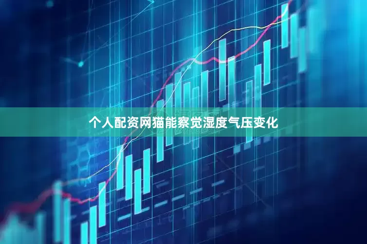 个人配资网猫能察觉湿度气压变化