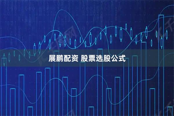展鹏配资 股票选股公式