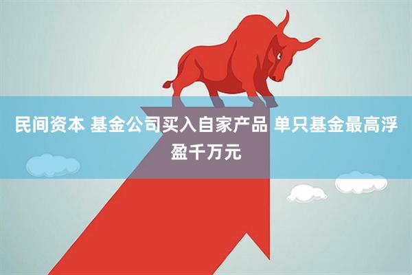 民间资本 基金公司买入自家产品 单只基金最高浮盈千万元